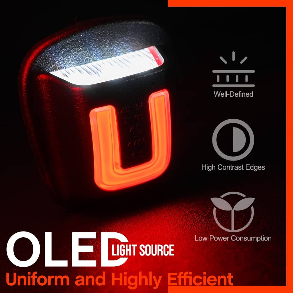 Nsautolighting LED Replacement Lamp for Dodge Dakota 1997-2011 Raider 2006-2009 Pickup Truck Error Free 6000K Xenon White Red O'LED Tube License Plate Light Assembly OEM 55055292