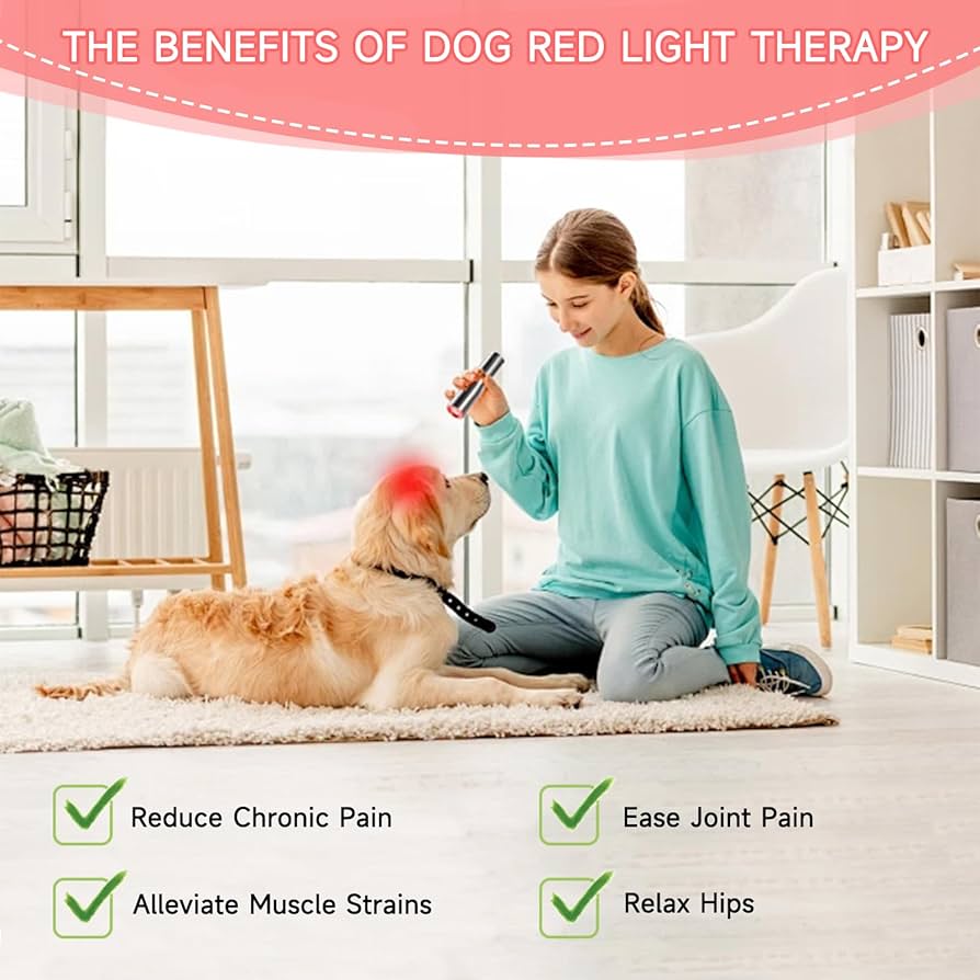 Red Light Healing Therapy Torch for The Relief of Pain in The Face, Hands, Feet,Shoulders, Lower Back and Joints,Infrared&Red Light Therapy Device Handheld with 3 Wavelengths