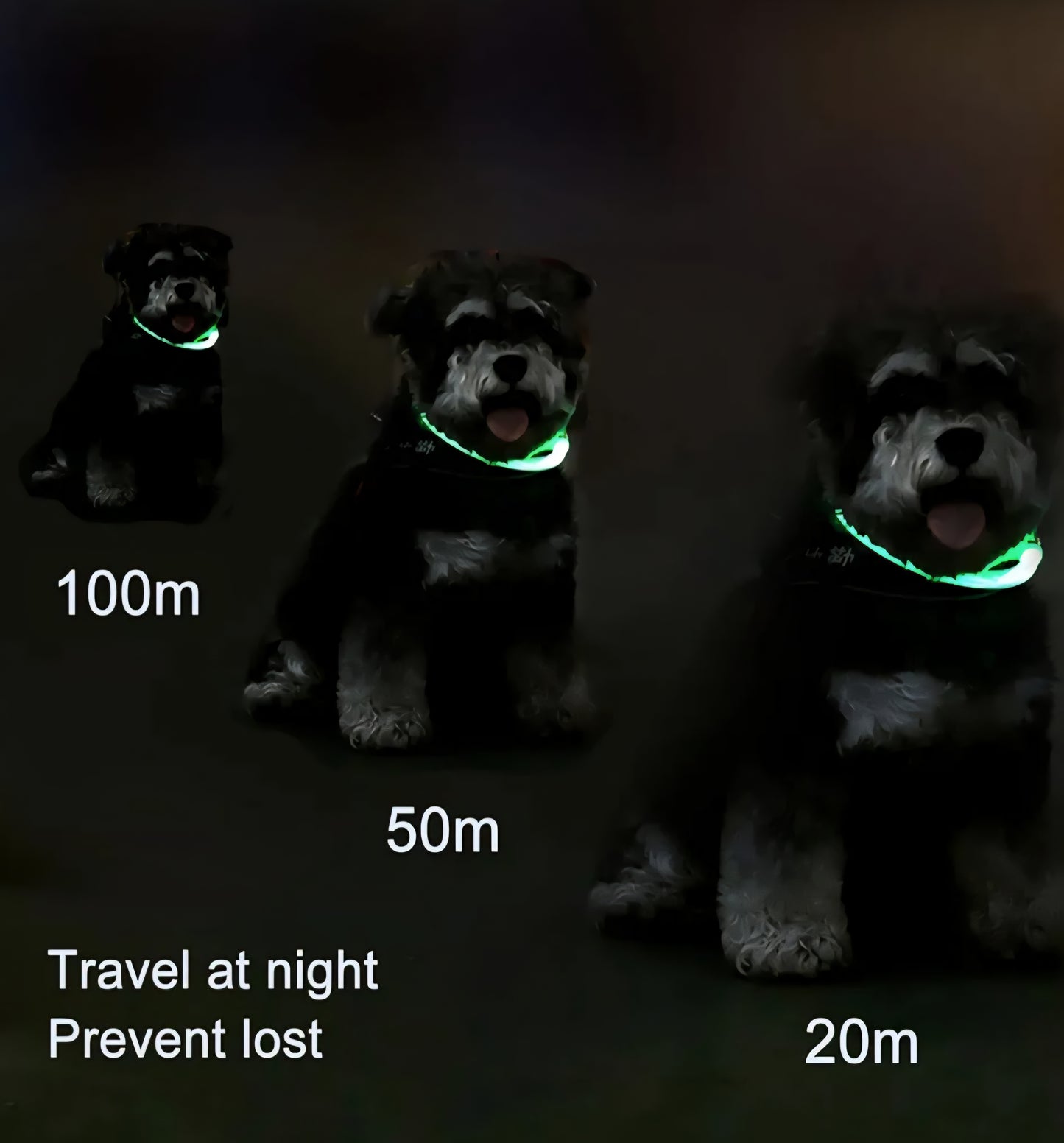 LED rechargeable light up dog collars for night time