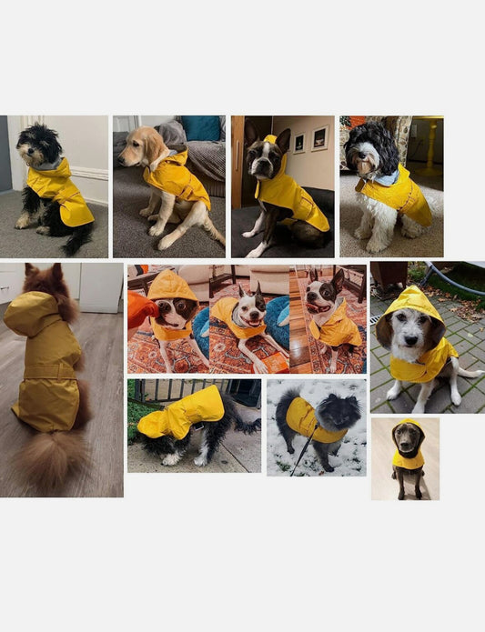 LeerKing Dog Raincoat Poncho with Cotton Lining Leash Hole Waterproof Hooded