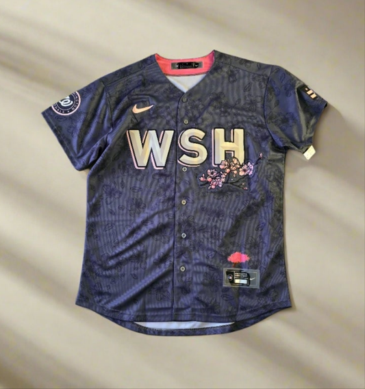 Washington nationals Baseball jersey Garcia #2