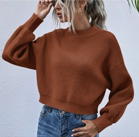 Womens brown crop knit sweater