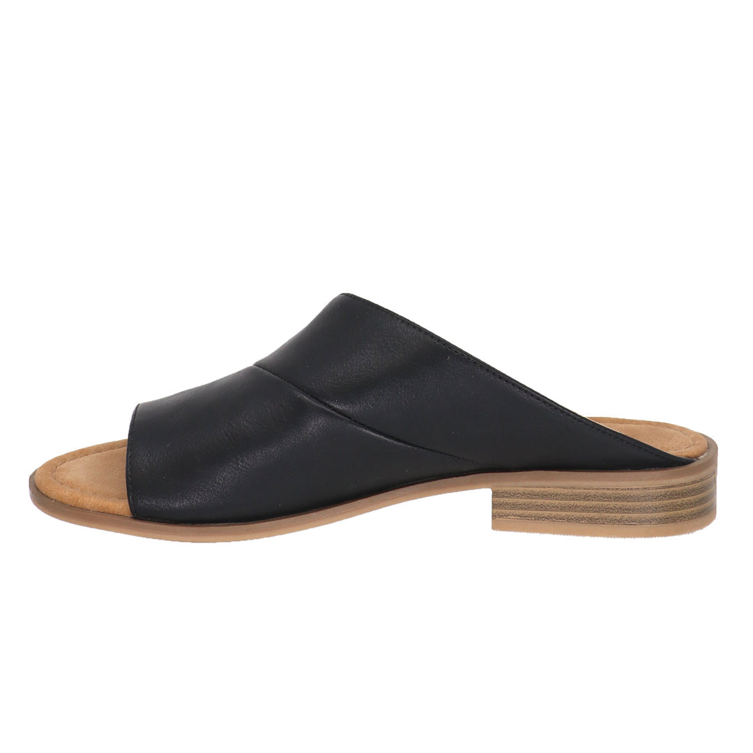 Taxi SHEENA Slides