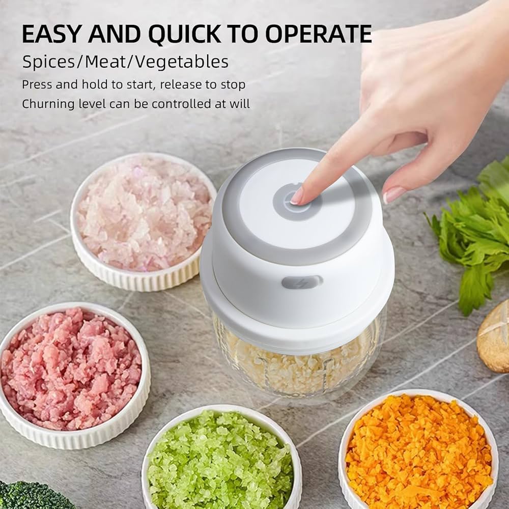 Electric Garlic Chopper Portable Small Food Processor, 300ML Glass Containers with Food Divider, Waterproof Body, One-touch Press to Chop Onion For Ginger, Chili, Fruit, Meat, Spices, Beans