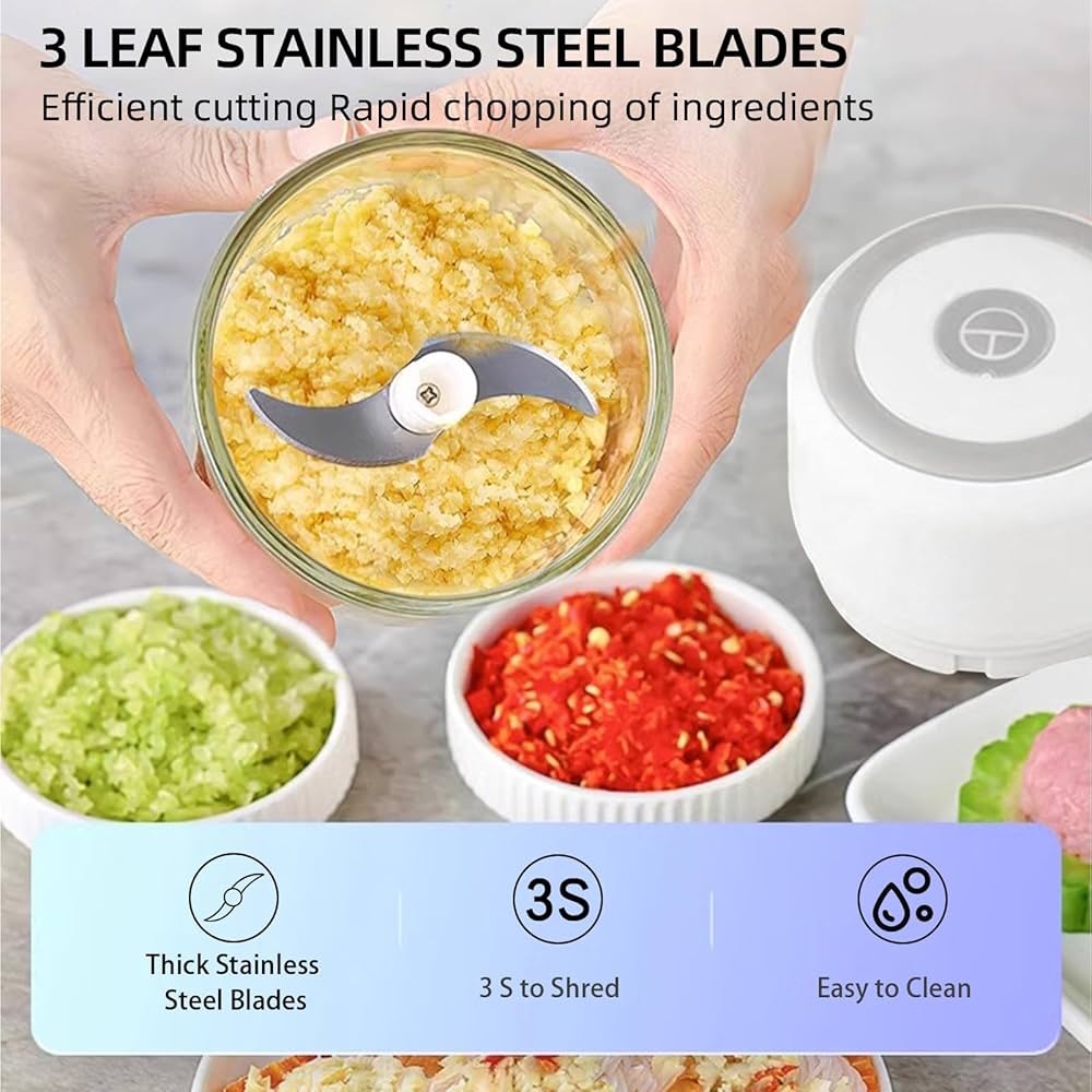 Electric Garlic Chopper Portable Small Food Processor, 300ML Glass Containers with Food Divider, Waterproof Body, One-touch Press to Chop Onion For Ginger, Chili, Fruit, Meat, Spices, Beans