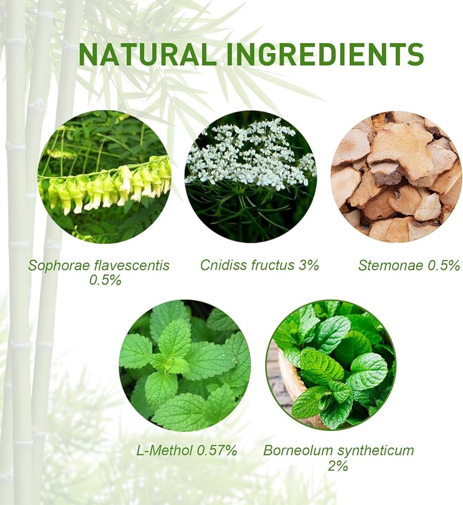Eczema Psoriasis Creams 5pcs Natural Chinese Herbal Dermatitis and Pruritus Psoriasis Ointment