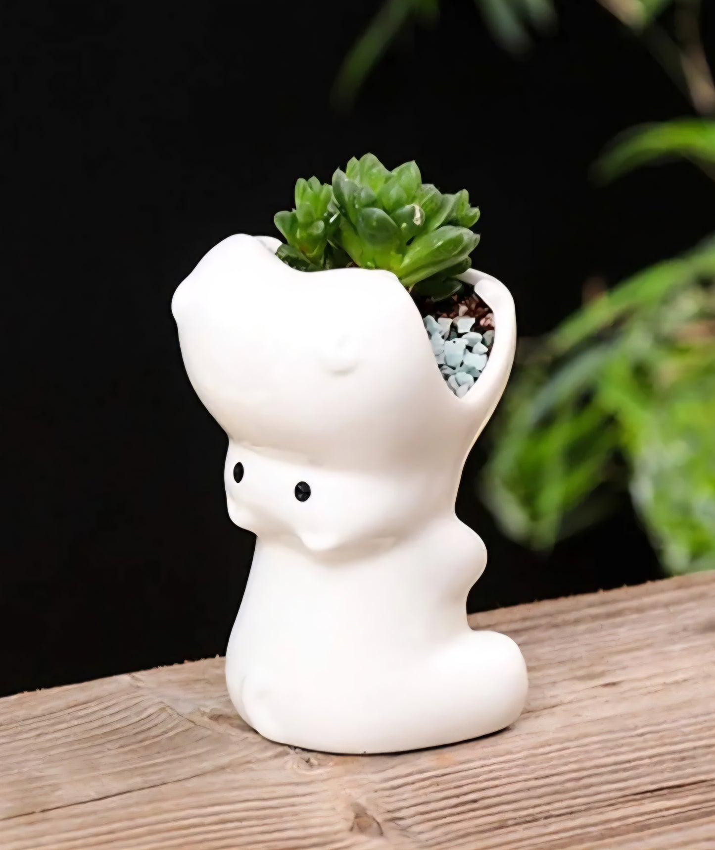 Ceramic white hippo decorative succulent vase