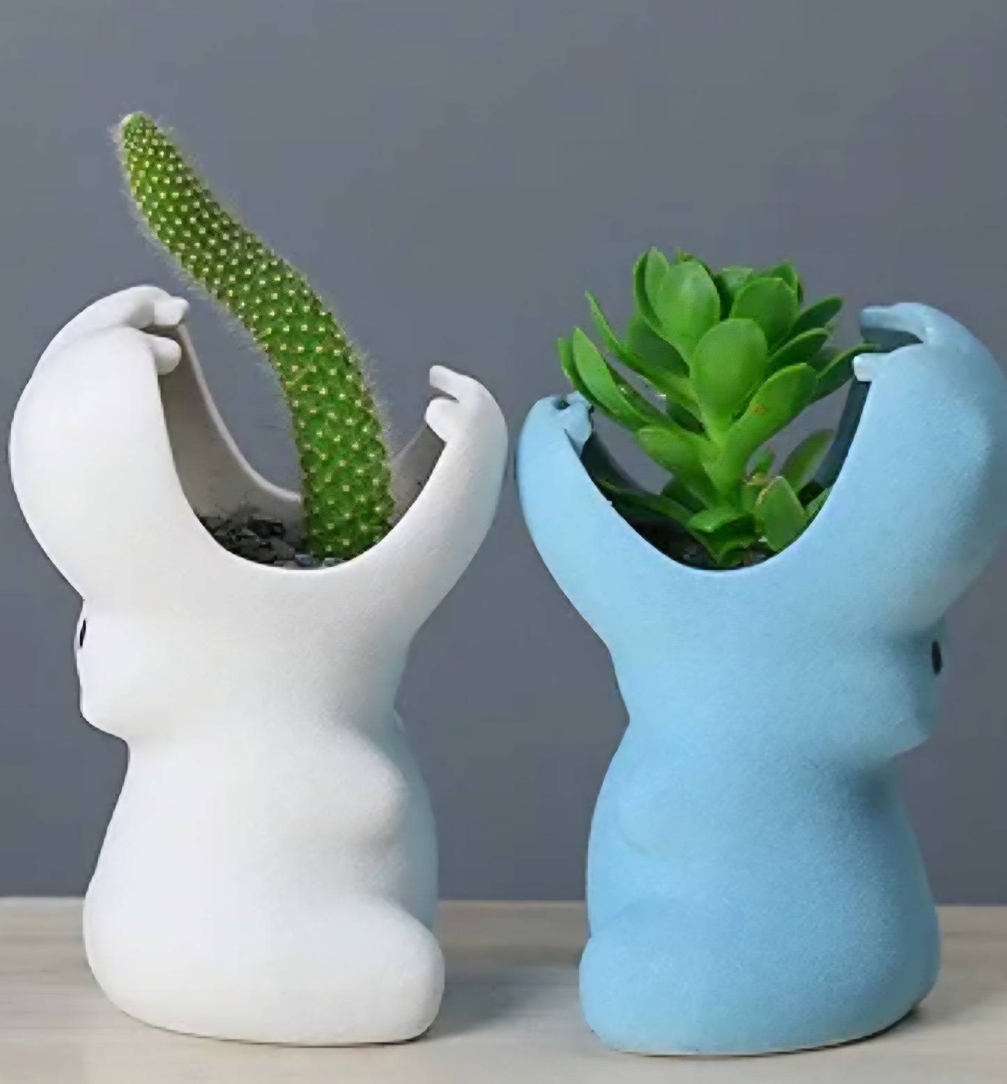 Ceramic white hippo decorative succulent vase