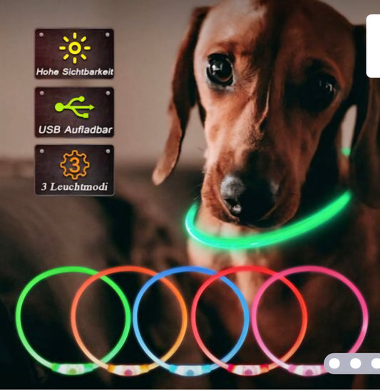 LED rechargeable light up dog collars for night time